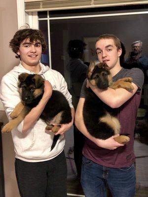 My sons holding Sunna and Leo at age 9 weeks.