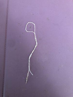 Here's the string we found in the burger