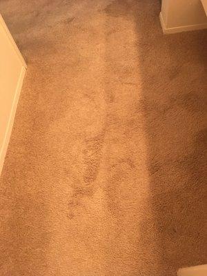 Hallway that remained stained and dirty.