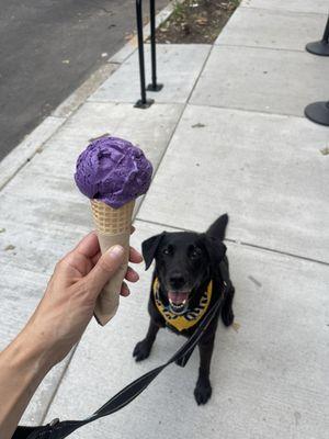 Scoop of Ube ice cream