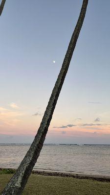 beach view