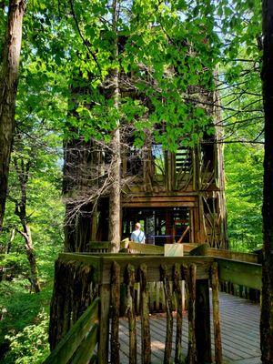 Tree house