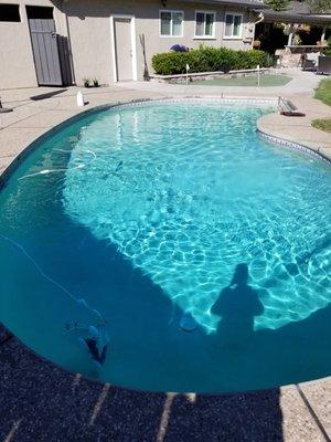 Residential swimming pool in Modesto after pool service.