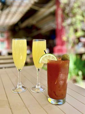 Mimosas + Bloody Mary