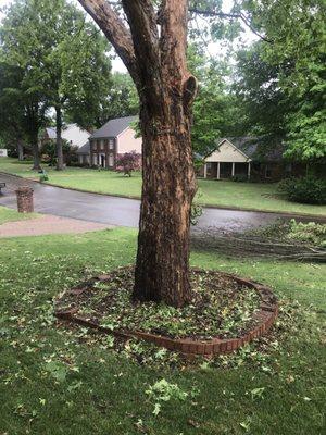 Ivy removed and the tree's limbs have been trimmed away from my roof!