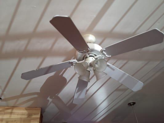 Fan to stay cool in hot Seattle.