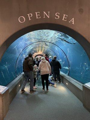 Open sea tunnel