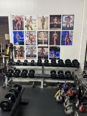 The wall of fame featuring the amazing body builders that have trained at Team Tufunga