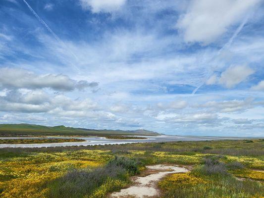 Soda Lake Overlook and Boardwalk