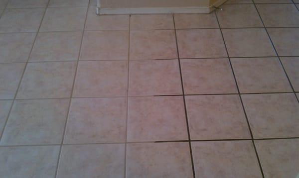 Tile and Grout