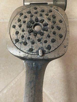 Corroded shower head purchased only 6 months ago