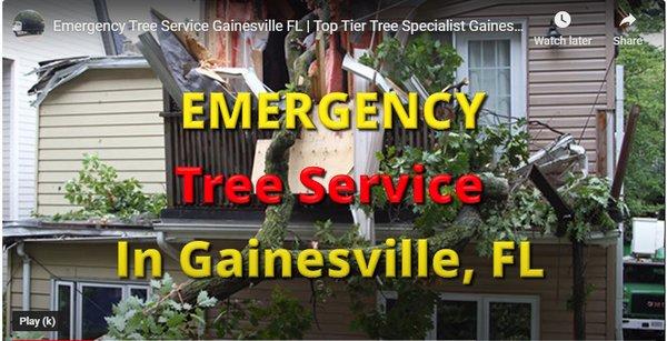 Emergency Tree Service in Gainesville FL https://toptiertreespecialist.com/emergency-tree-service-in-gainesville-fl/