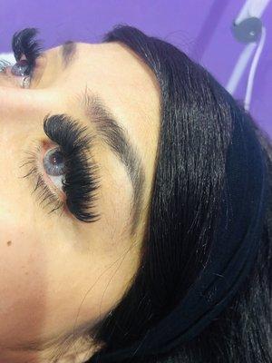 Volume lashes