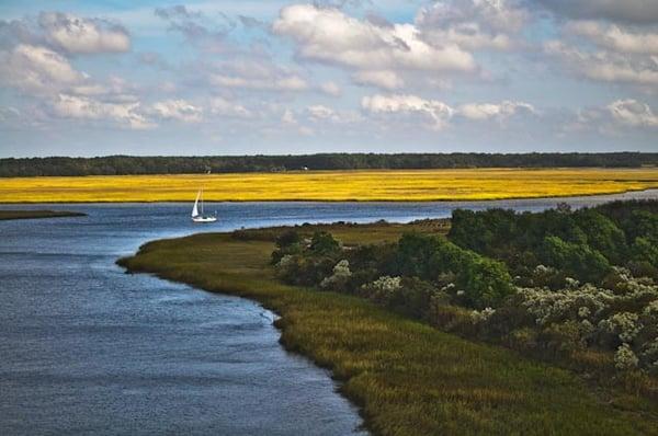 Come get a lowcounty view on Edisto Island!