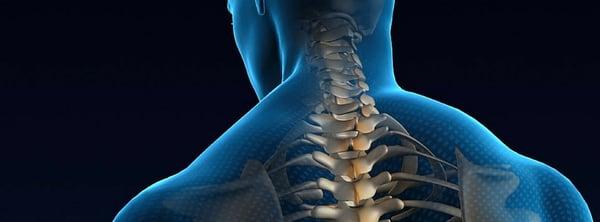 Subluxation treatment at Health First Chiropractic Clinic, Dr. J. Zimmerman, Galloway