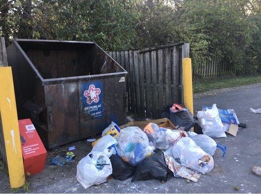 Trash dumped in front of dumpster