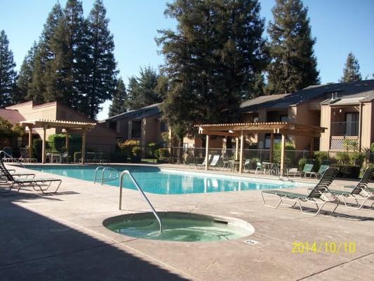 the spa and pool