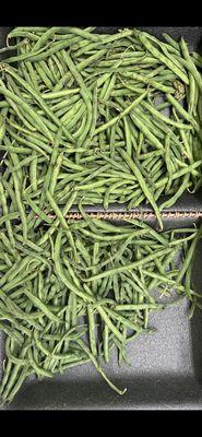 Limp yellow and brown string beans.  Nutrients left these back in April.