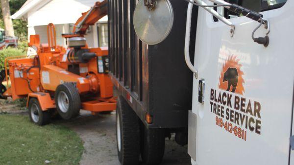 Black Bear Tree Service Dumping Chip Truck with Chipper