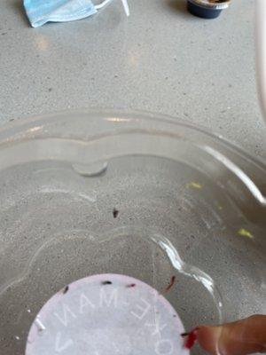 A bug in my bowl!!! Disgusting!