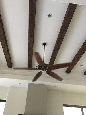 Family room fan