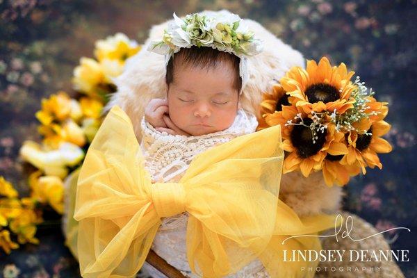 A gift from above, newborn portraits