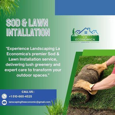 Sod installation and artificial turf