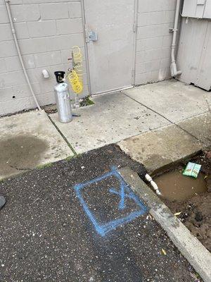 Commercial Leak Detection