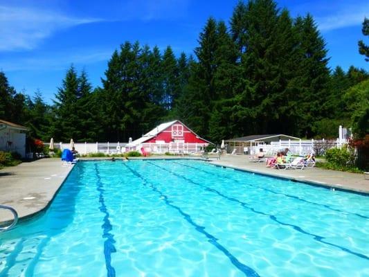 Pool is so fun!! This is a great place!! Fun for family ... They need to weed around the pool area.