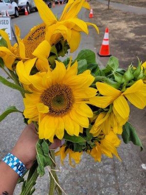 Get to pick (cut) and take home 5 flowers each!