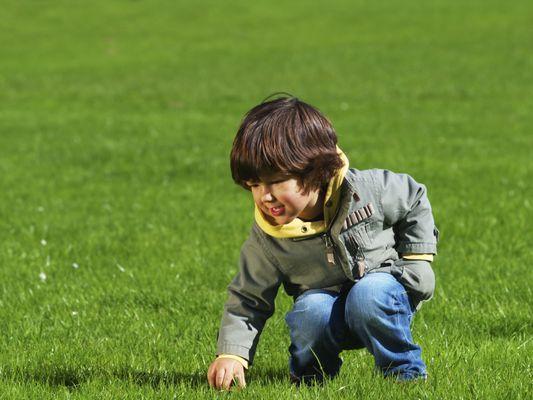 Our team of turf inspectors, making sure the lawn looks good and is safe to play on.