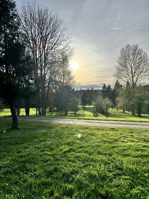 View next to the playground