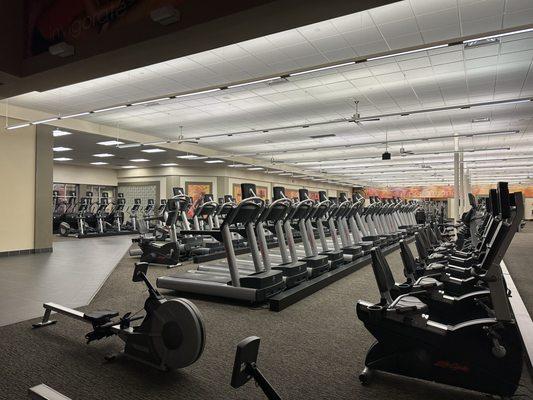 Variety of Cardio equipment