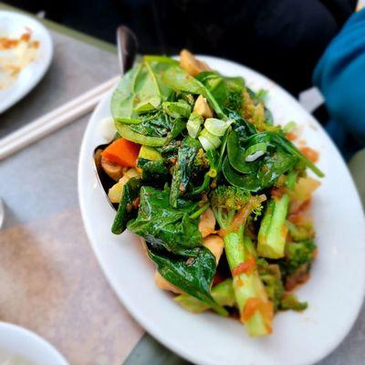 Tsel Shesha - sauteed mushrooms, broccoli, zucchini, carrots, & spinach, w/rice. Nice spicy veggie dish.