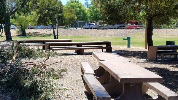 Picnic tables