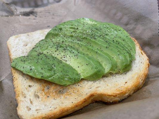 Plain avocado toast