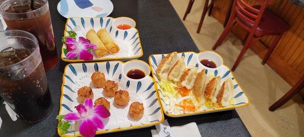 Spring rolls, shumai, and dumplings