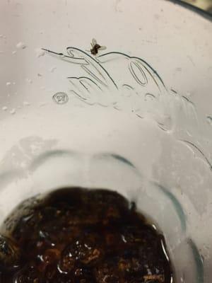 Bad service, bad food and to top of off.. A bug in my drink. Will never return.