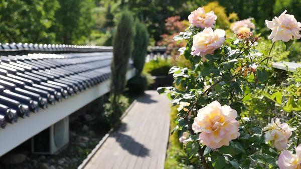 Lakeland Yard & Garden Center