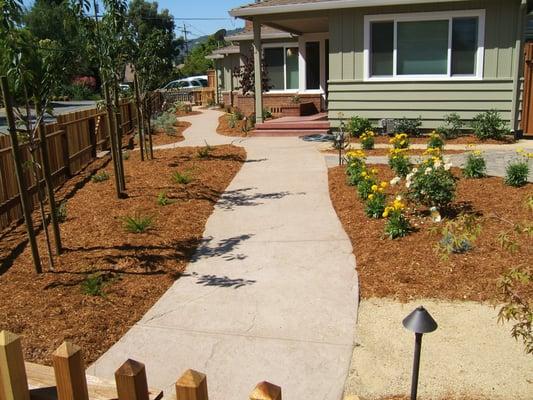 Fencing - Stamped Concrete with Drought tolerant plants