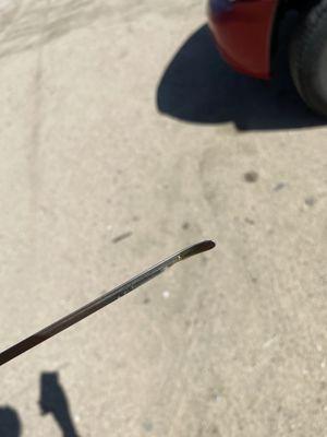 Dipstick for reference of no oil! Robbery