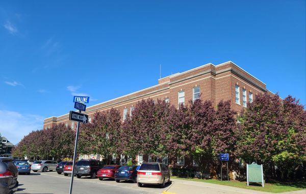 City hall in the fall