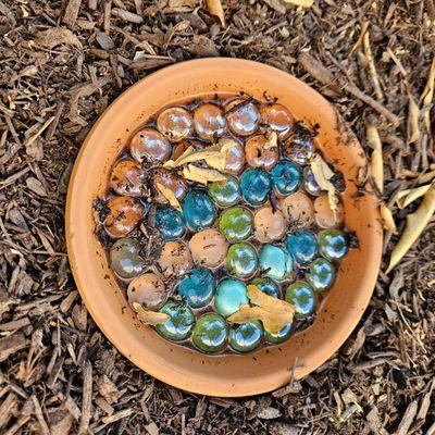 DIY Bee water station for the garden.