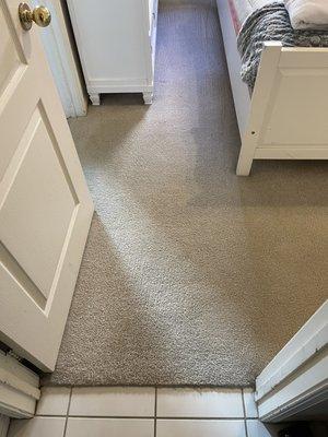 Before and after carpet cleaning in Anaheim