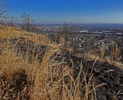 View of Clifton & Woodland Park