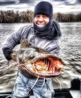 Giant River Flathead