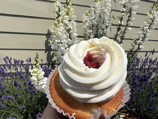 Lemon Raspberry Cupcake