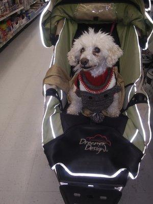 She loved to go shopping!