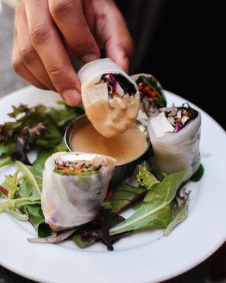 Shiitake Spring Rolls