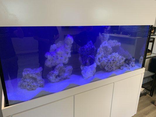 180 gallon saltwater reef tank